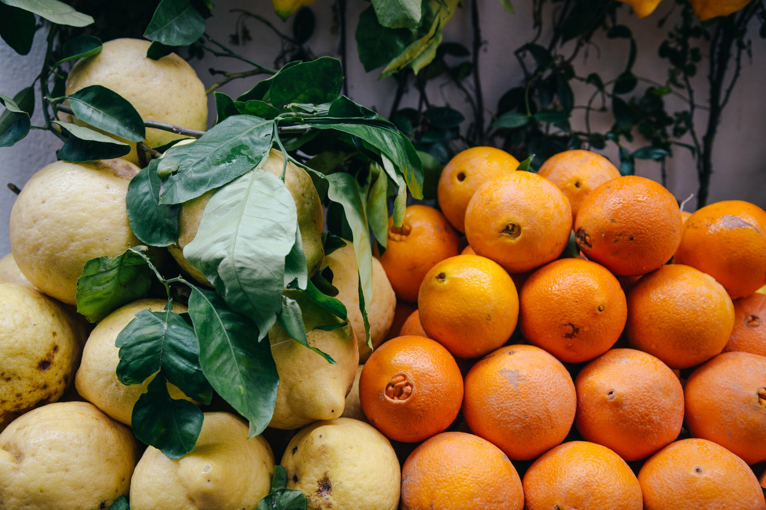 Ernährung und Sehnenscheidenentzündungen: Zitrusfrüchte enthalten viel Vitamin C